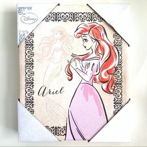 Disney Ariel Wall art Canvas on wood frame